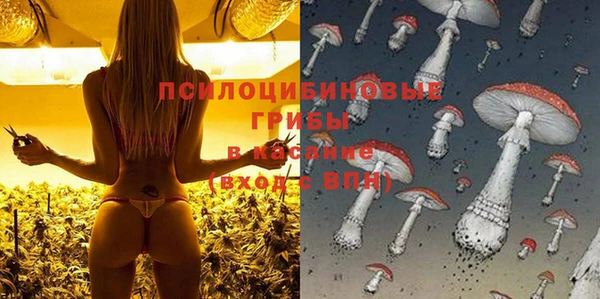 экстази Алексин
