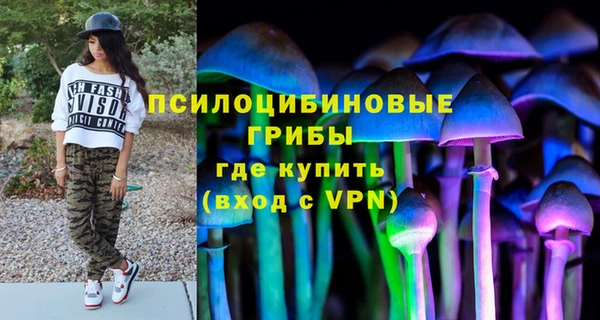 apvp Алзамай