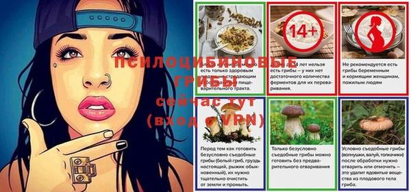 круглые Алексеевка