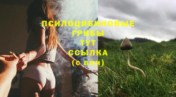 apvp Алзамай