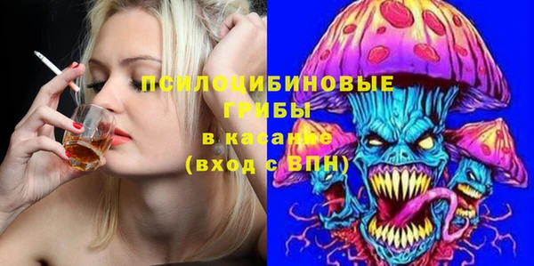 круглые Алексеевка