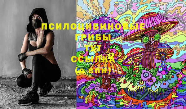 экстази Алексин