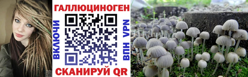 дарнет шоп  ссылка на мегу ССЫЛКА  Галлюциногенные грибы прущие грибы  Арзамас 