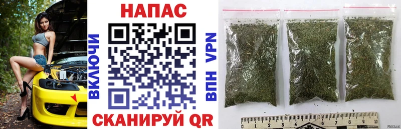 Конопля семена  Арзамас 